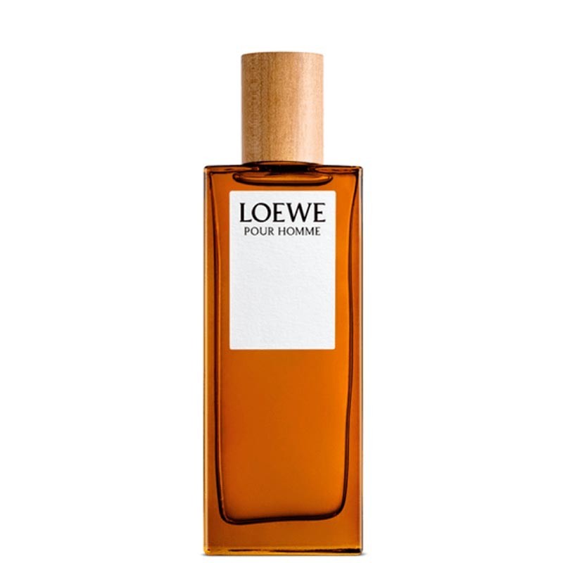 Loewe Pour Homme Edt 100 Ml