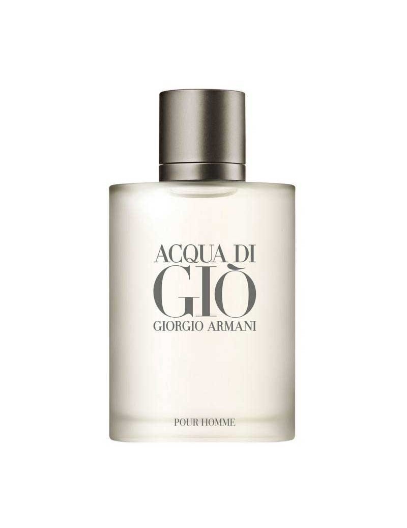 Perfume Giorgio Armani Acqua Di Gio Edt 100 Ml Mujer