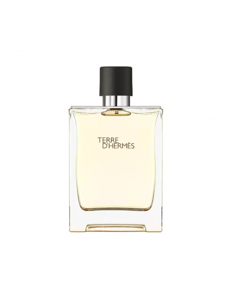 Perfume Hermès Terre D'Hermès Edt 100Ml Hombre