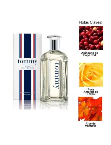 Tommy Hilfiger Man Edt 100Ml