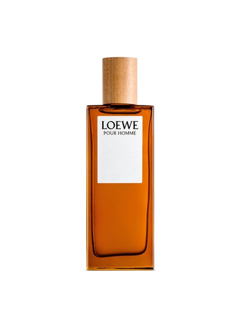Loewe Pour Homme Edt 100 Ml