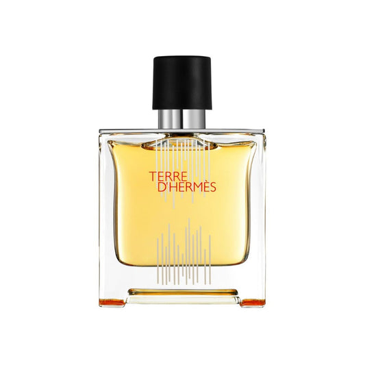 Perfume Terre D'Hermes Hermes Eau de Parfum Intense 100ml